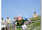 2013-07-14 -IMG 1913